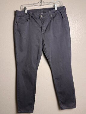 Arizona Jean Co. Gray Skinny Jeans